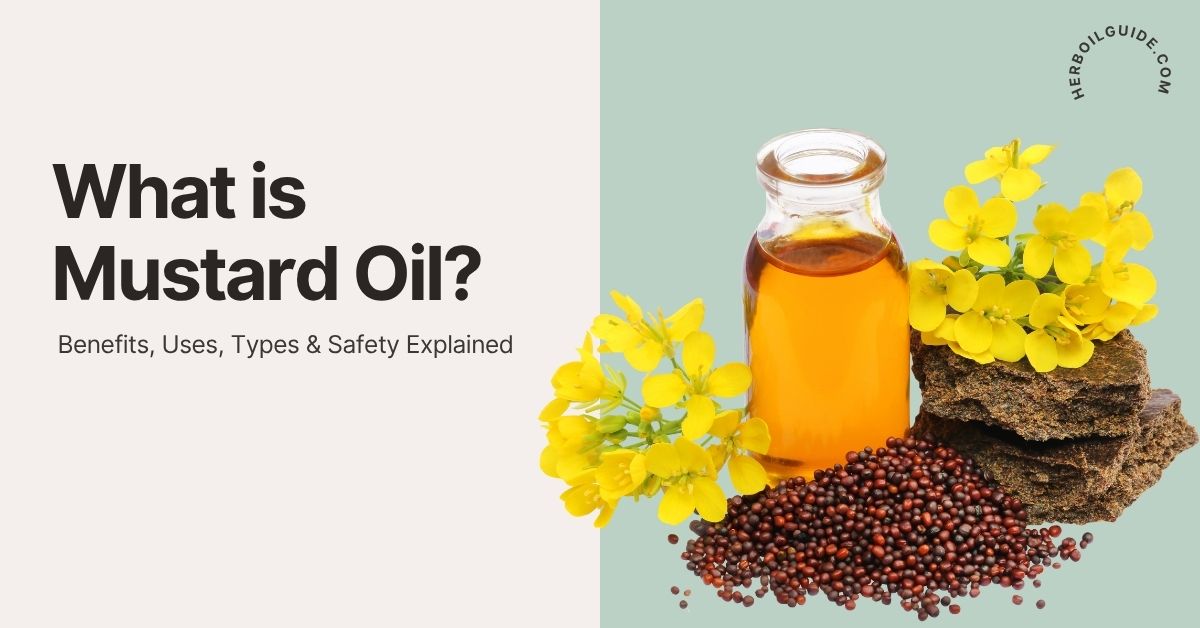 What is Mustard Oil – Types, Extraction, and Uses
