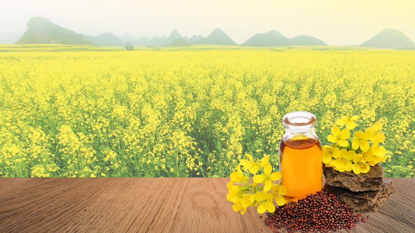 Mustard Seeds